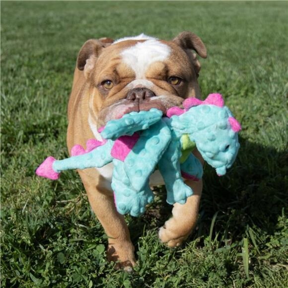 Dragons Extra Soft Plush Toy for Dogs with Chew Guard Technology - Picture 6 of 7
